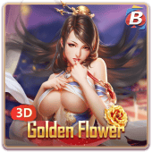 নিউজিল্যান্ডের ফুটবল স্টেডিয়াম